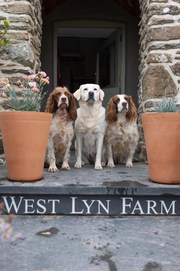 West Lyn Farm B&B And Shepherd Hut Lynton Exterior photo